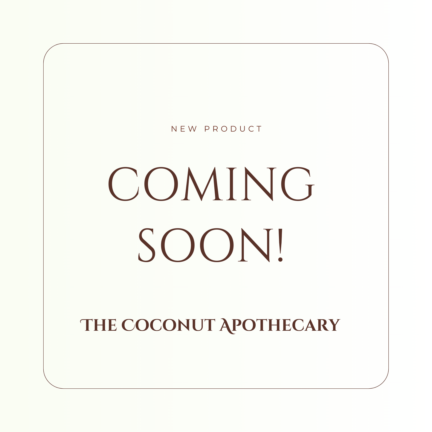 Back to Basics Household Bundle